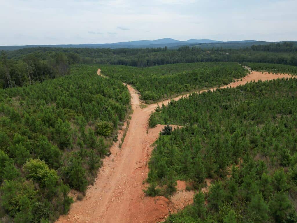 206+ Acres Bordering Tye River WMA – A Hunter’s Paradise