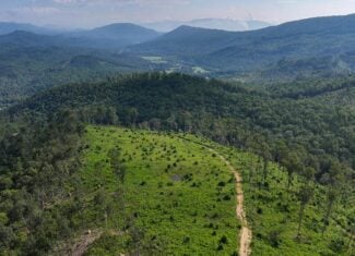 176 Acres of Prime Hunting & Mountain Recreation