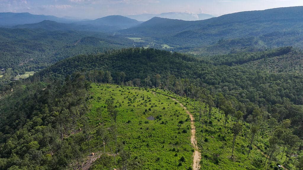 176 Acres of Prime Hunting & Mountain Recreation