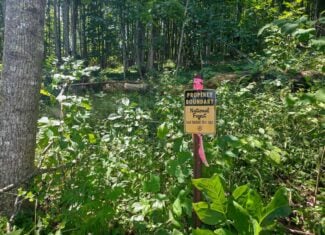 176 Acres of Prime Hunting & Mountain Recreation