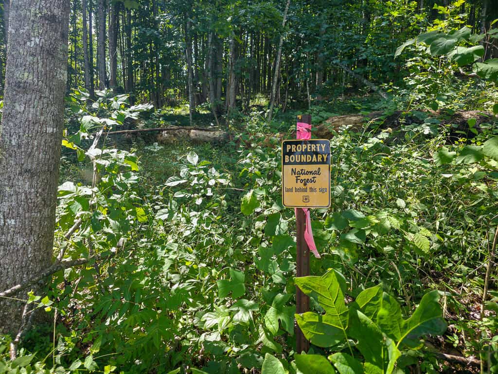 176 Acres of Prime Hunting & Mountain Recreation