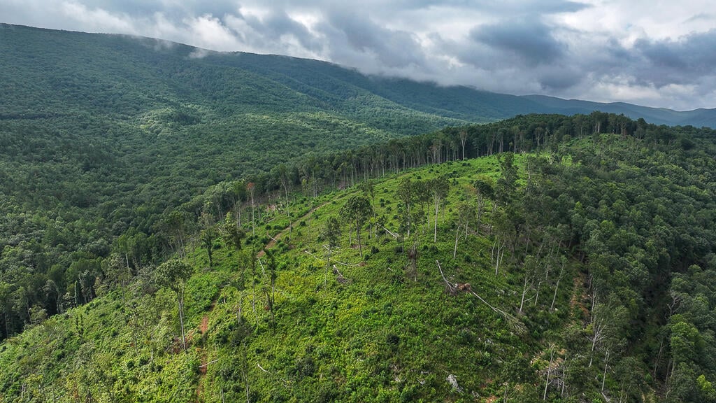 176 Acres of Prime Hunting & Mountain Recreation