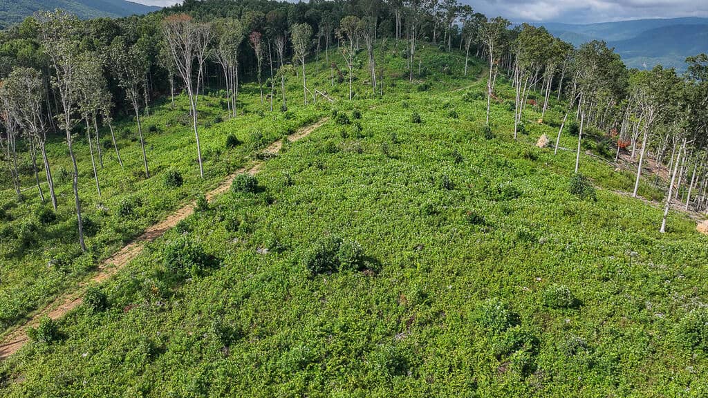 176 Acres of Prime Hunting & Mountain Recreation