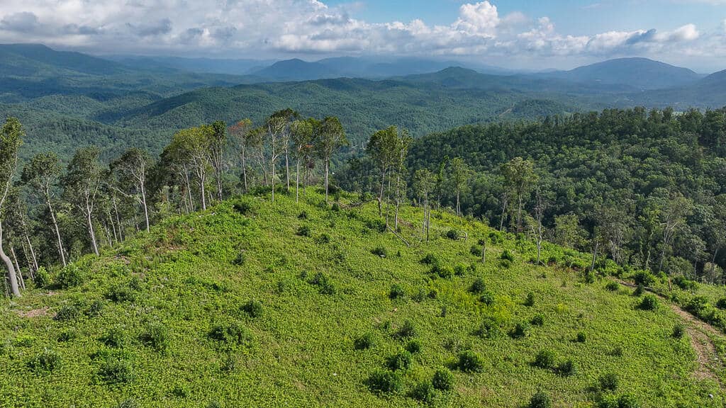 176 Acres of Prime Hunting & Mountain Recreation