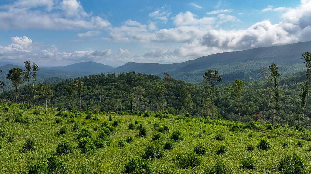 176 Acres of Prime Hunting & Mountain Recreation
