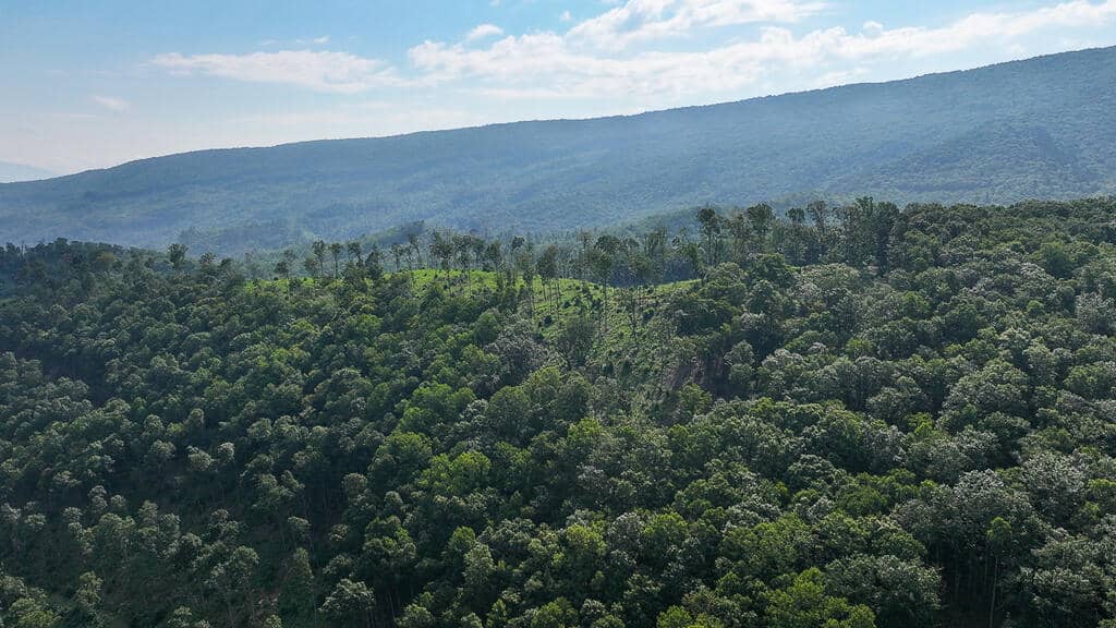176 Acres of Prime Hunting & Mountain Recreation