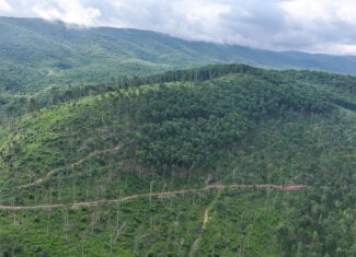 176 Acres of Prime Hunting & Mountain Recreation