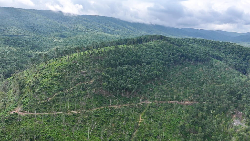 176 Acres of Prime Hunting & Mountain Recreation