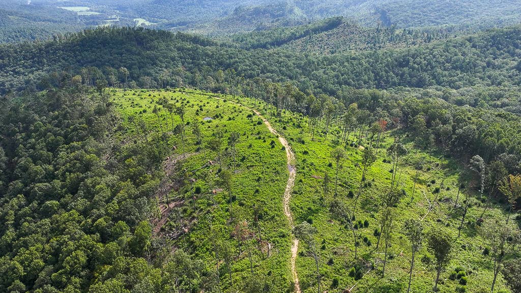 176 Acres of Prime Hunting & Mountain Recreation