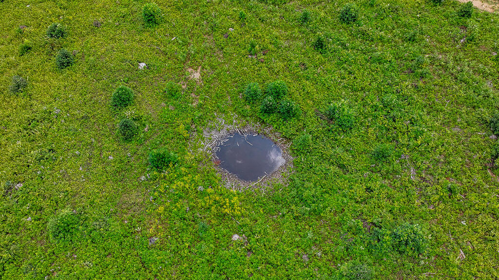 176 Acres of Prime Hunting & Mountain Recreation