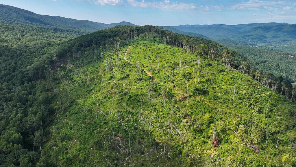 176 Acres of Prime Hunting & Mountain Recreation