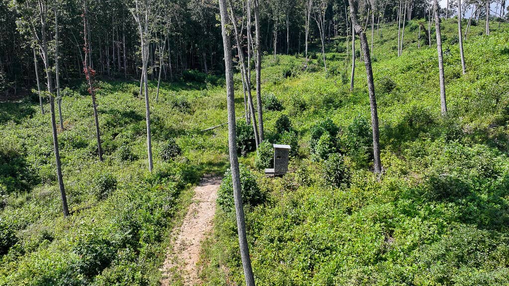 176 Acres of Prime Hunting & Mountain Recreation