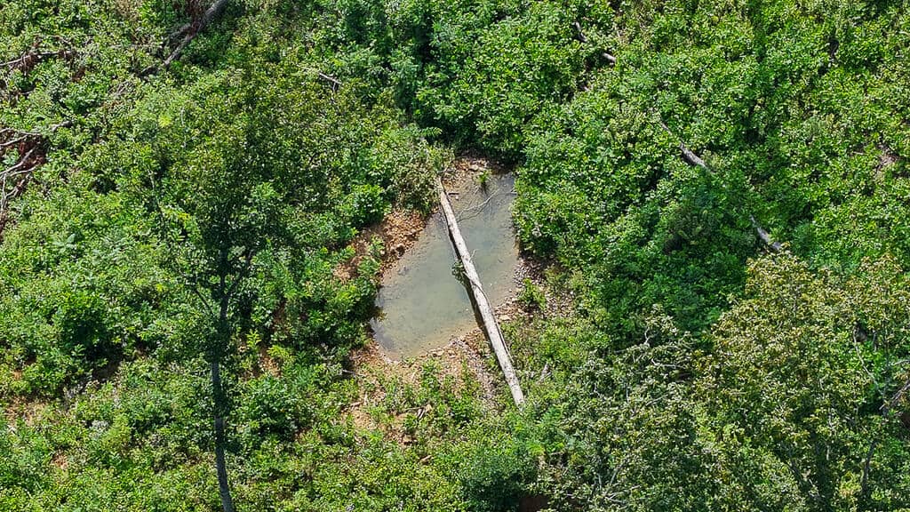 176 Acres of Prime Hunting & Mountain Recreation