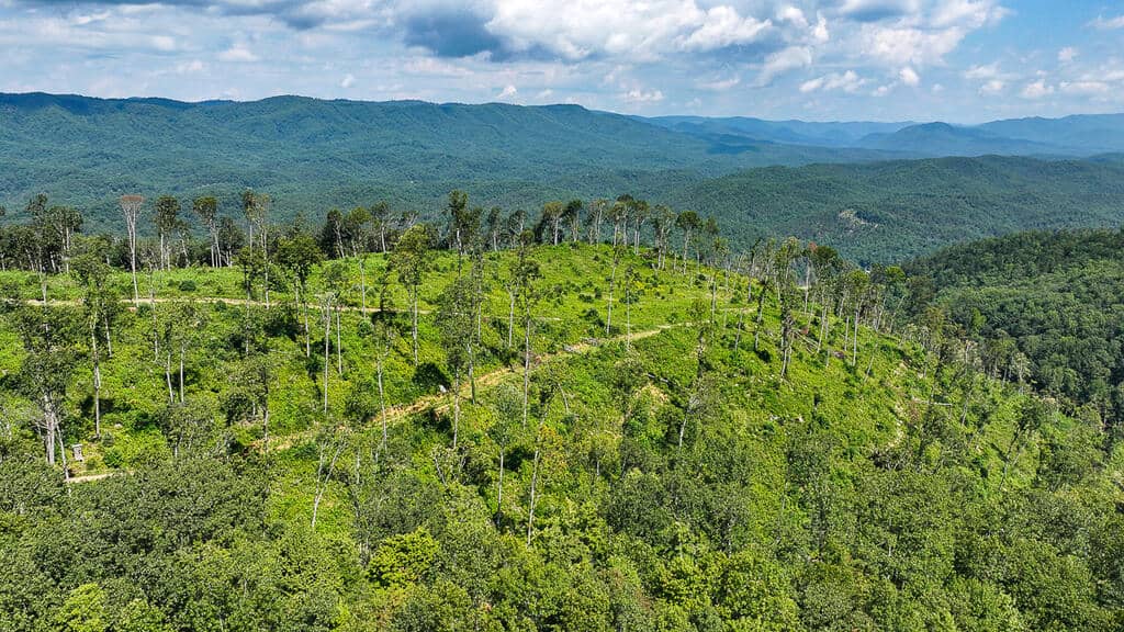 176 Acres of Prime Hunting & Mountain Recreation