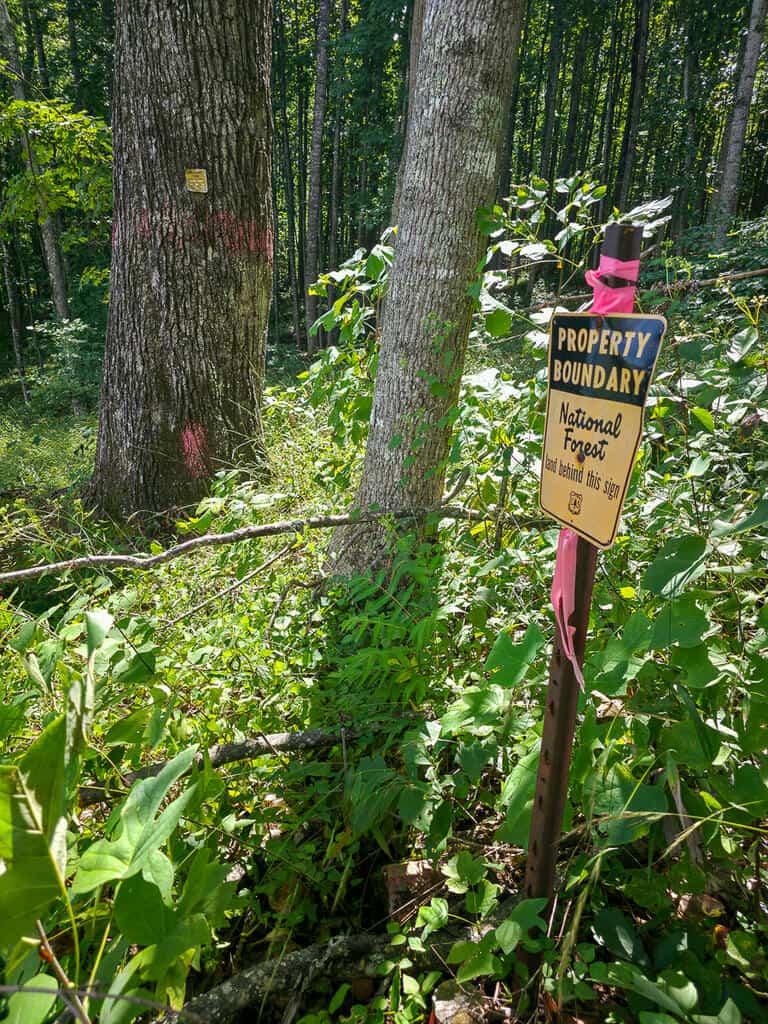 176 Acres of Prime Hunting & Mountain Recreation