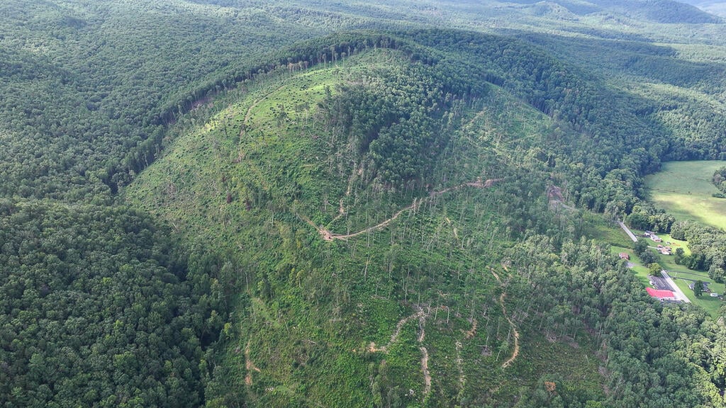 176 Acres of Prime Hunting & Mountain Recreation