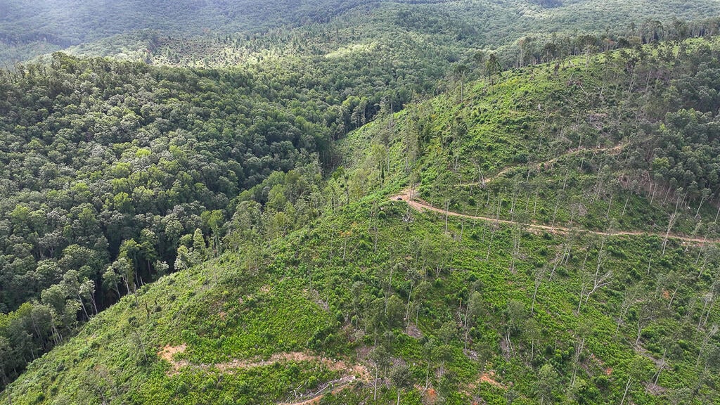 176 Acres of Prime Hunting & Mountain Recreation