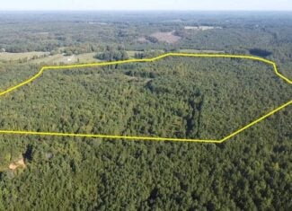 Recreation Rendezvous: 105 Acres of Outdoor Paradise