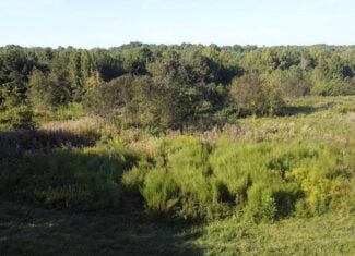Recreation Rendezvous: 105 Acres of Outdoor Paradise