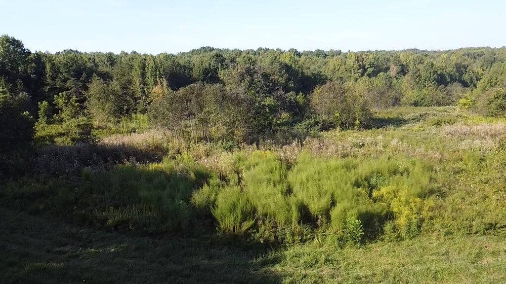 Recreation Rendezvous: 105 Acres of Outdoor Paradise