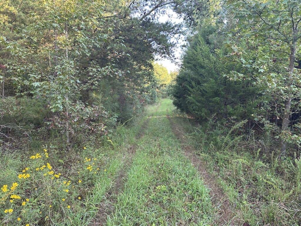 Recreation Rendezvous: 105 Acres of Outdoor Paradise