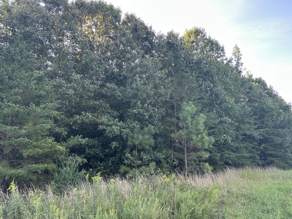 Recreation Rendezvous: 105 Acres of Outdoor Paradise