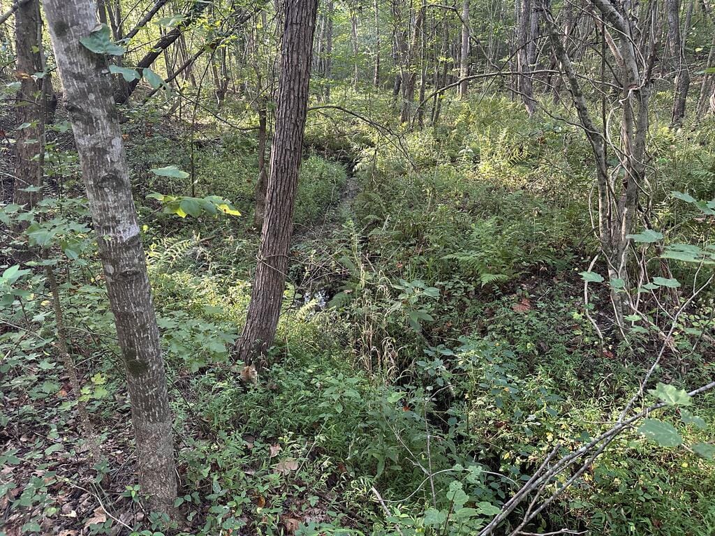 Recreation Rendezvous: 105 Acres of Outdoor Paradise