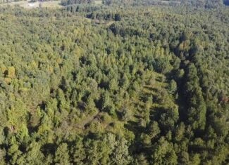 Recreation Rendezvous: 105 Acres of Outdoor Paradise