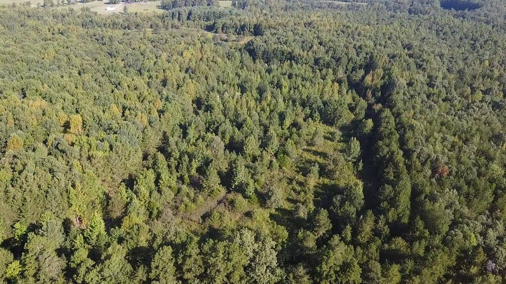 Recreation Rendezvous: 105 Acres of Outdoor Paradise