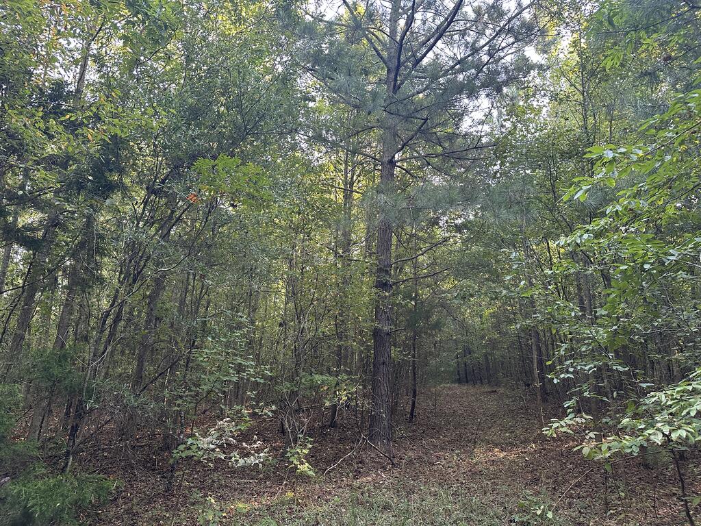 Recreation Rendezvous: 105 Acres of Outdoor Paradise