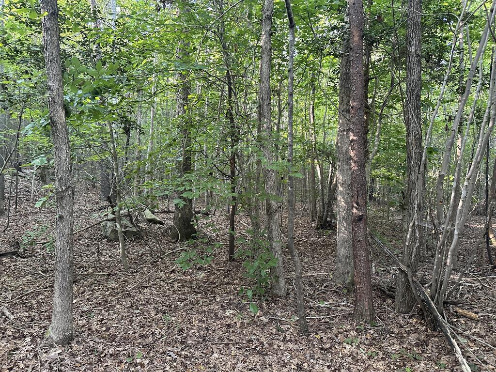 Recreation Rendezvous: 105 Acres of Outdoor Paradise