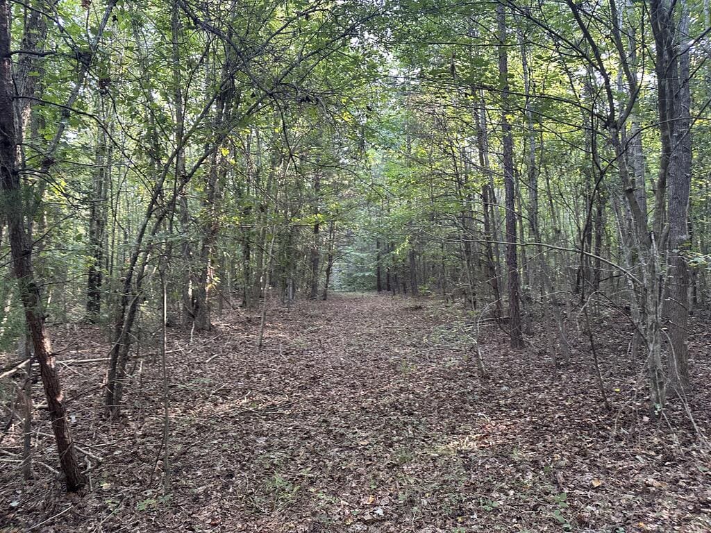 Recreation Rendezvous: 105 Acres of Outdoor Paradise