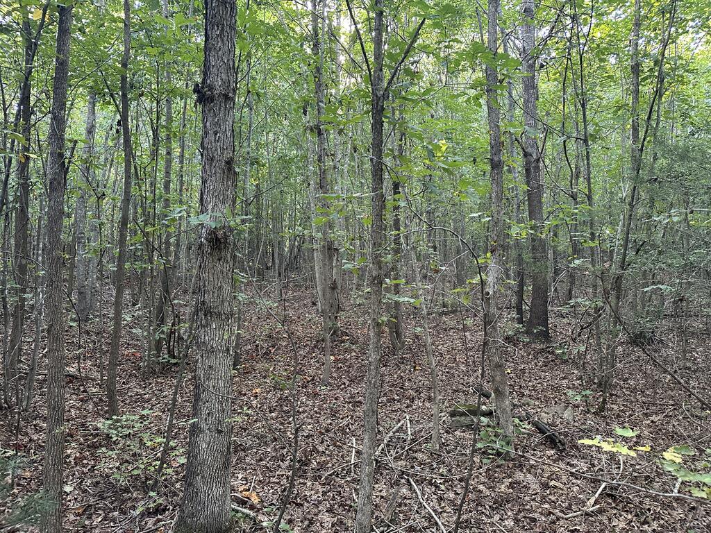 Recreation Rendezvous: 105 Acres of Outdoor Paradise