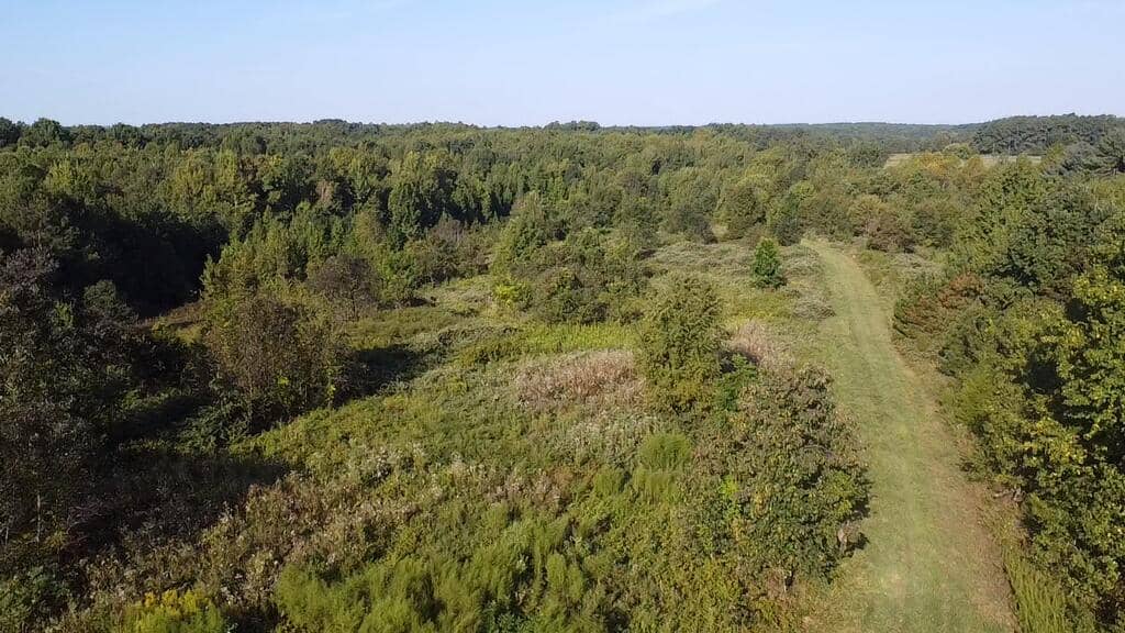 Recreation Rendezvous: 105 Acres of Outdoor Paradise