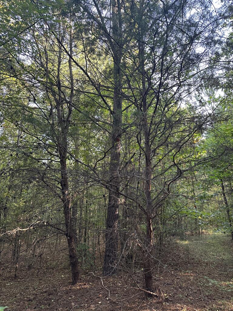 Recreation Rendezvous: 105 Acres of Outdoor Paradise