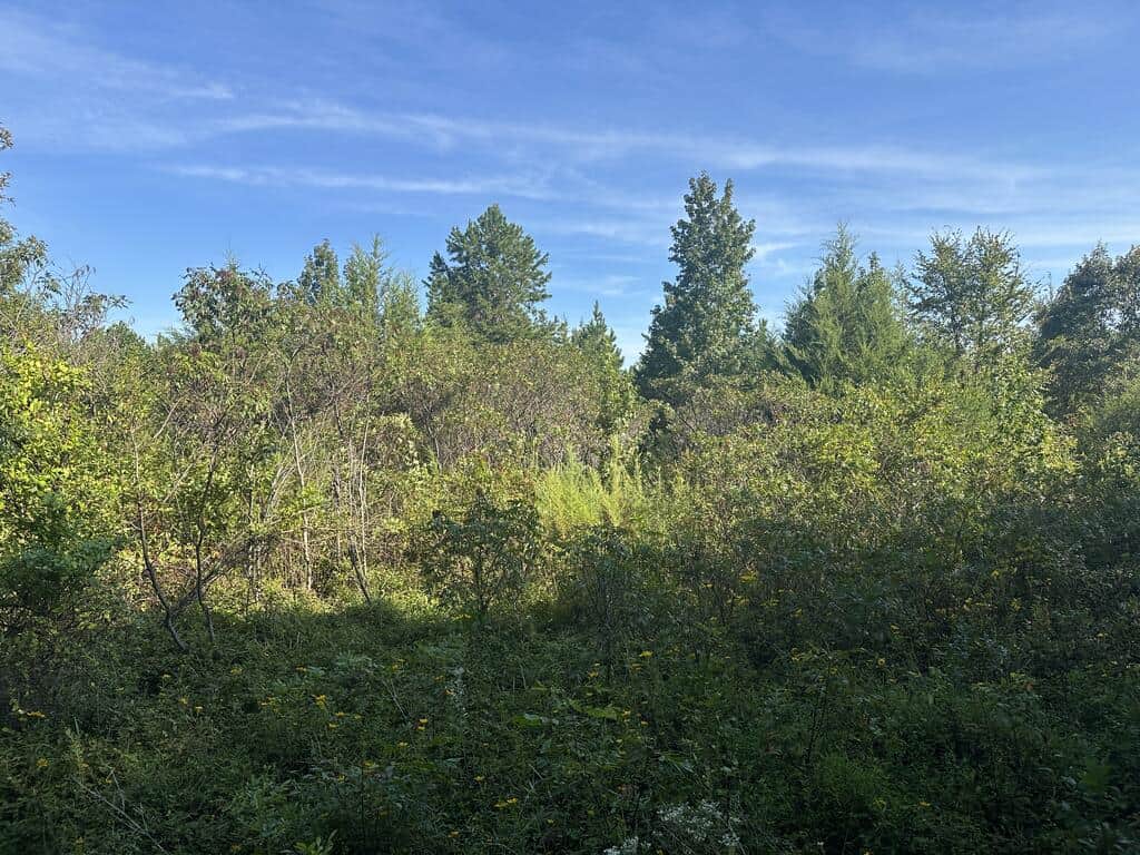 Recreation Rendezvous: 105 Acres of Outdoor Paradise