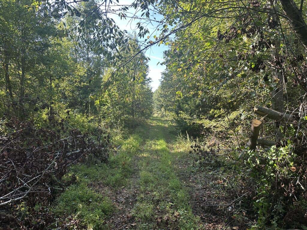 Recreation Rendezvous: 105 Acres of Outdoor Paradise