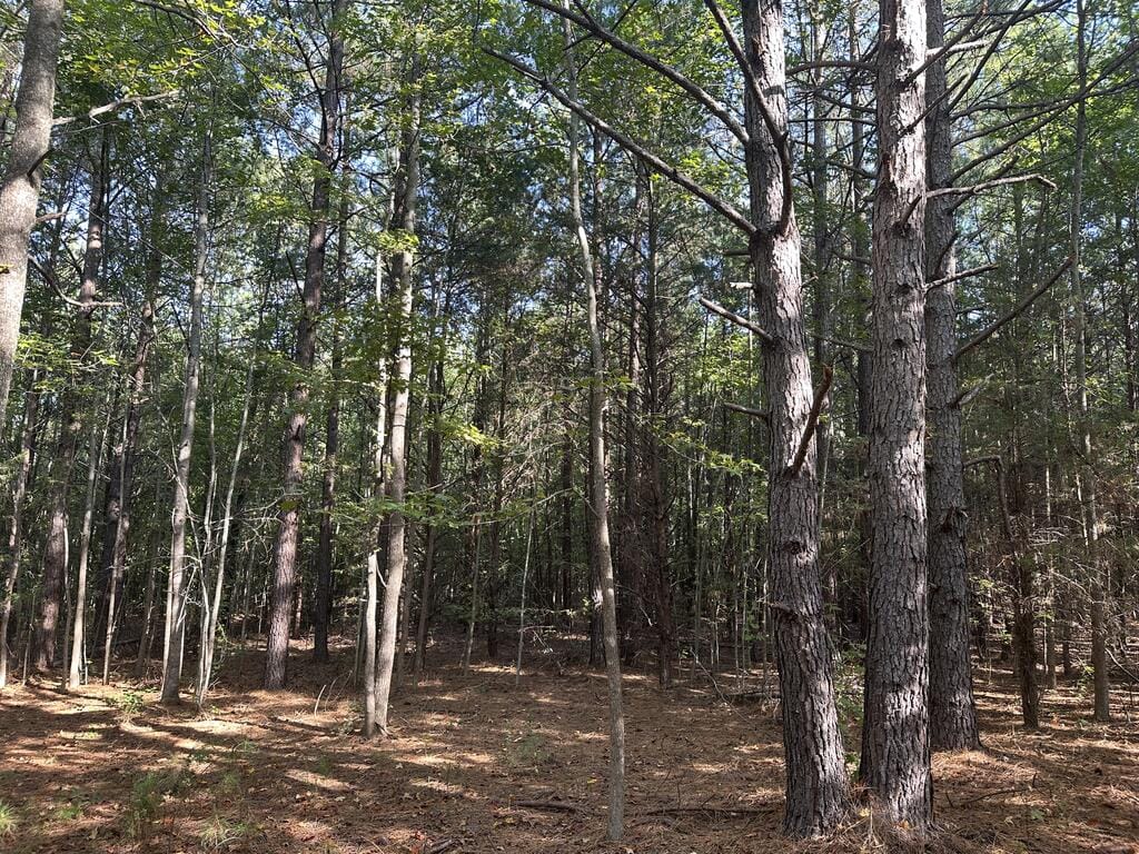 Recreation Rendezvous: 105 Acres of Outdoor Paradise