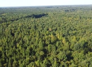 Recreation Rendezvous: 105 Acres of Outdoor Paradise