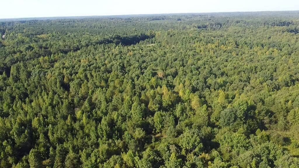 Recreation Rendezvous: 105 Acres of Outdoor Paradise