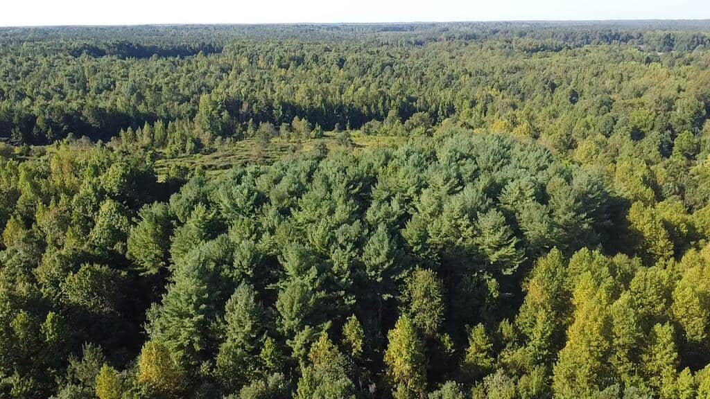 Recreation Rendezvous: 105 Acres of Outdoor Paradise