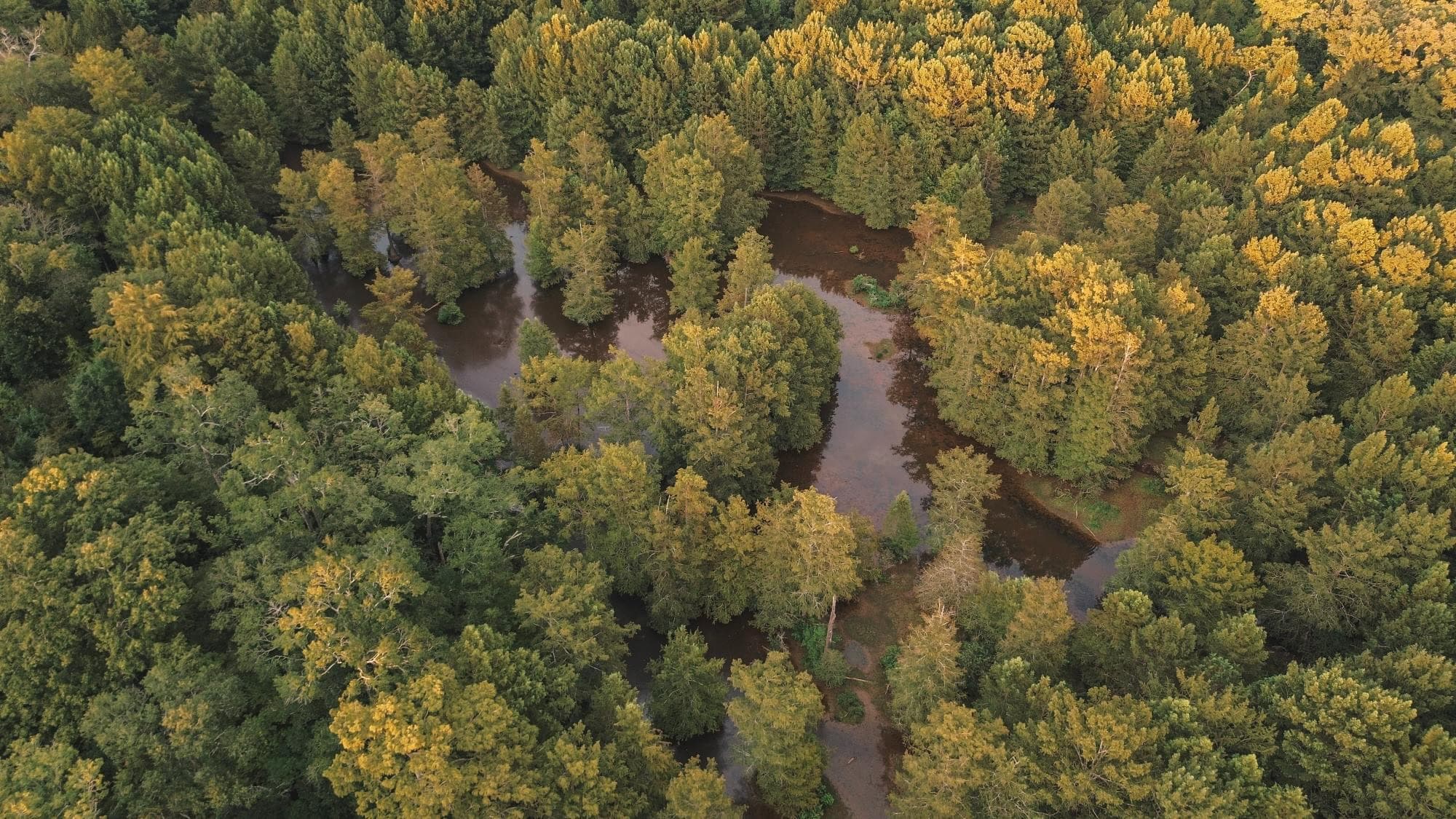 Lake D’Arbonne Land for Sale