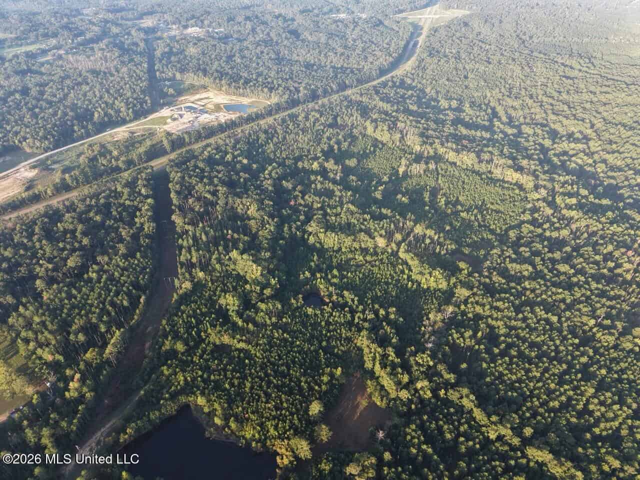 210+/- Acres and Cabin in Franklin County, MS