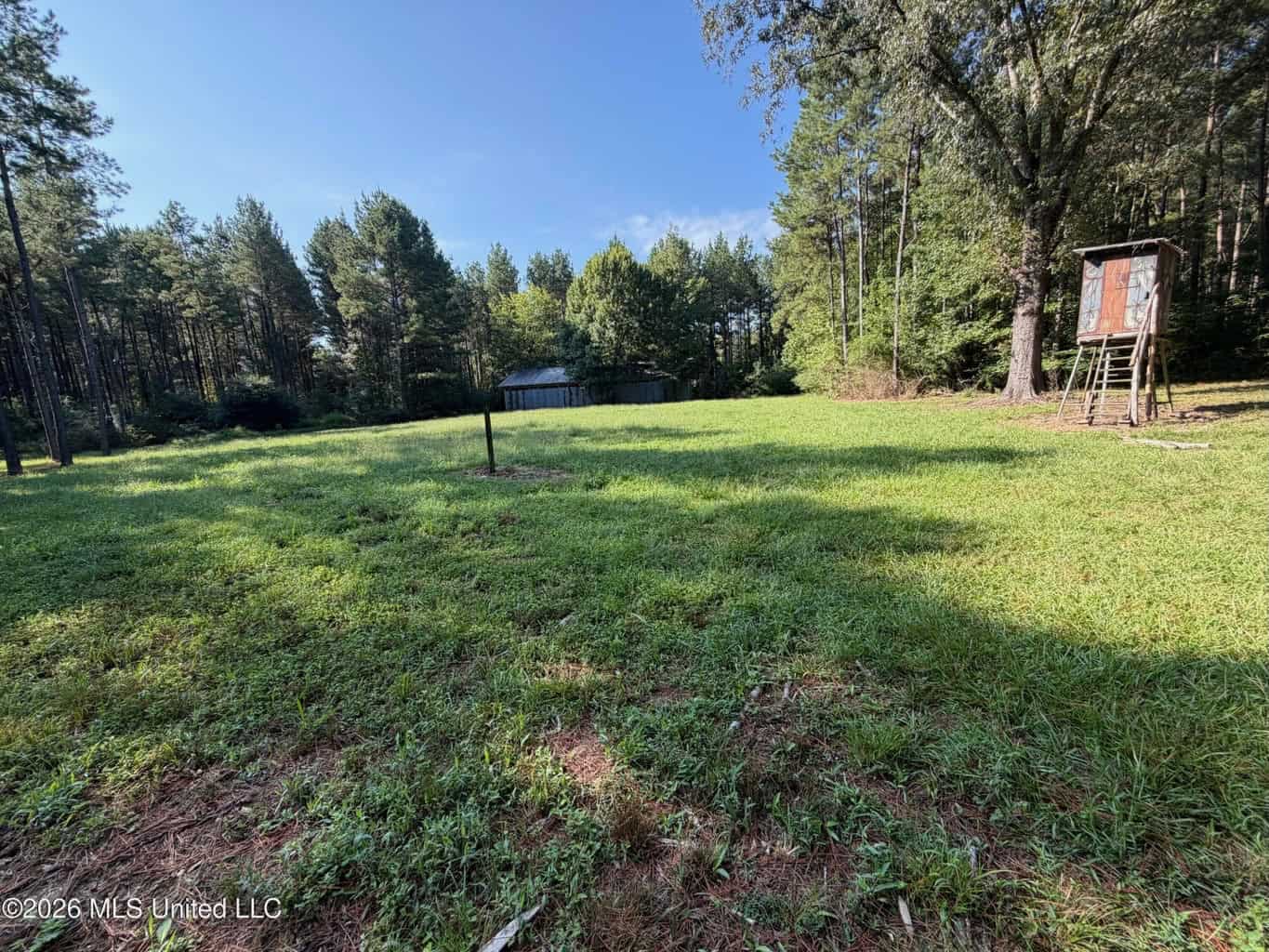 52 Acres Hunting & Timberland in Raleigh, MS
