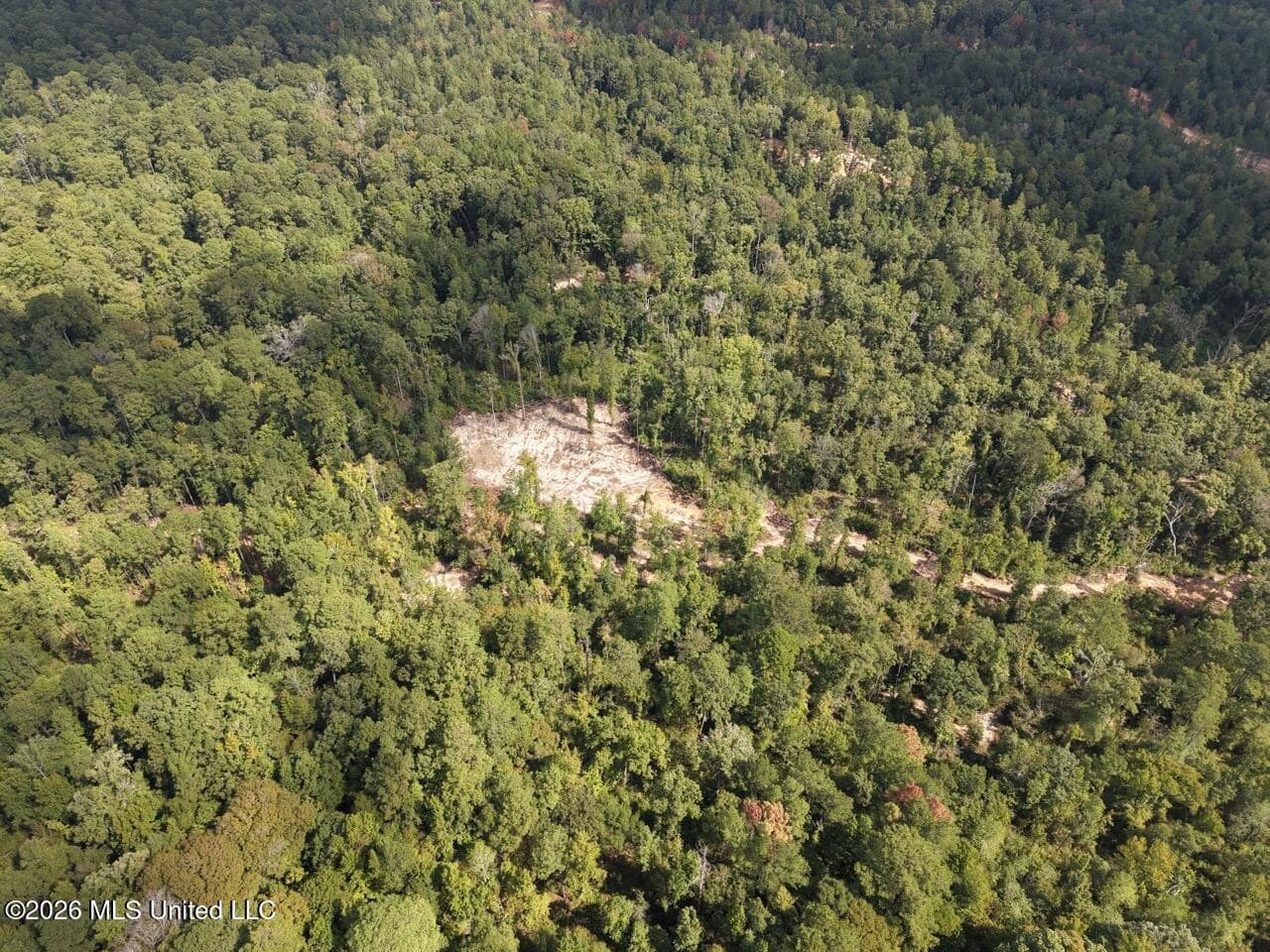 45± Acre Hunting Property in Franklin County, MS