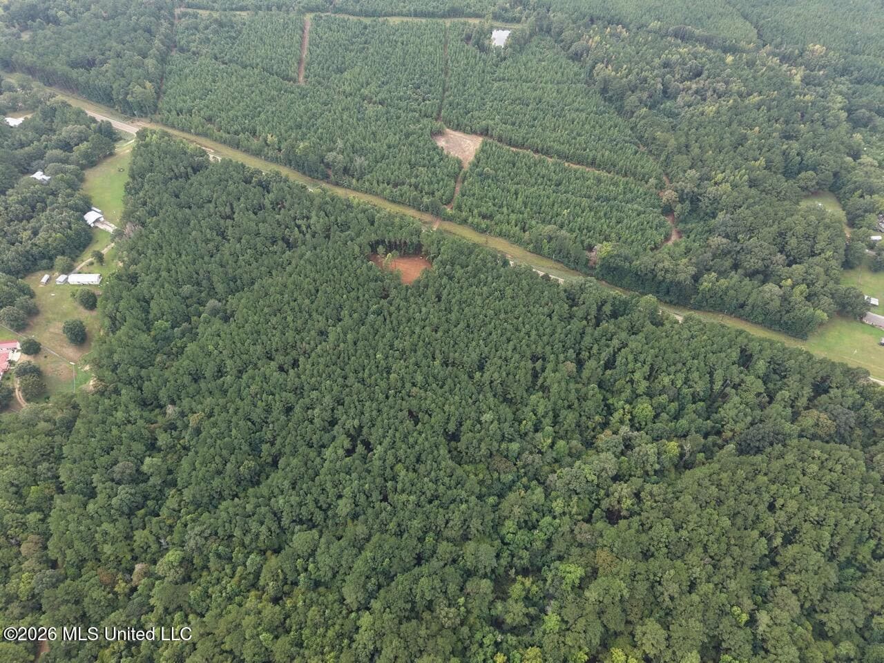 25± Acre Hunting & Homesite Tract in Centreville, MS