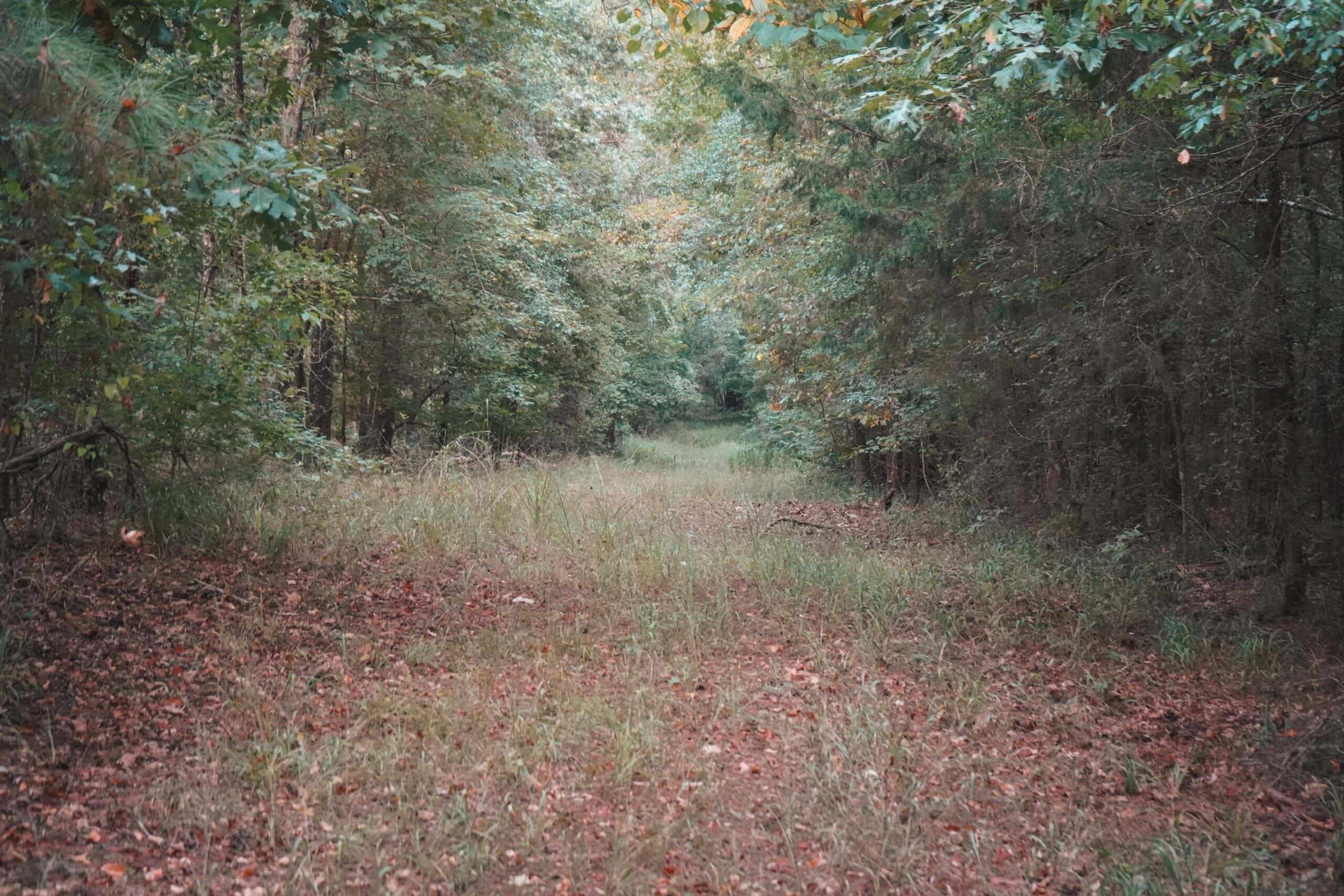 Affordable Union Parish Land for Sale