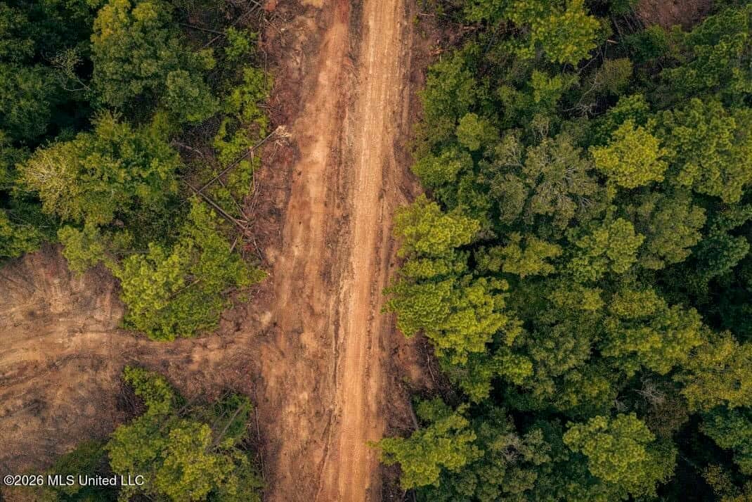 58± Acre Hunting Property in Franklin County, MS