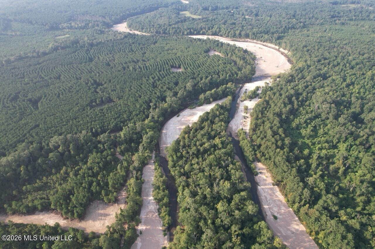 80± Acre Riverfront Hunting Land Near Meadville, MS