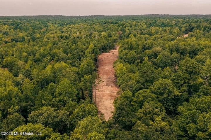 36± Acre Hunting Property Near Bude, MS